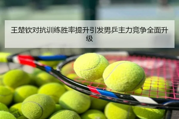 王楚钦对抗训练胜率提升引发男乒主力竞争全面升级